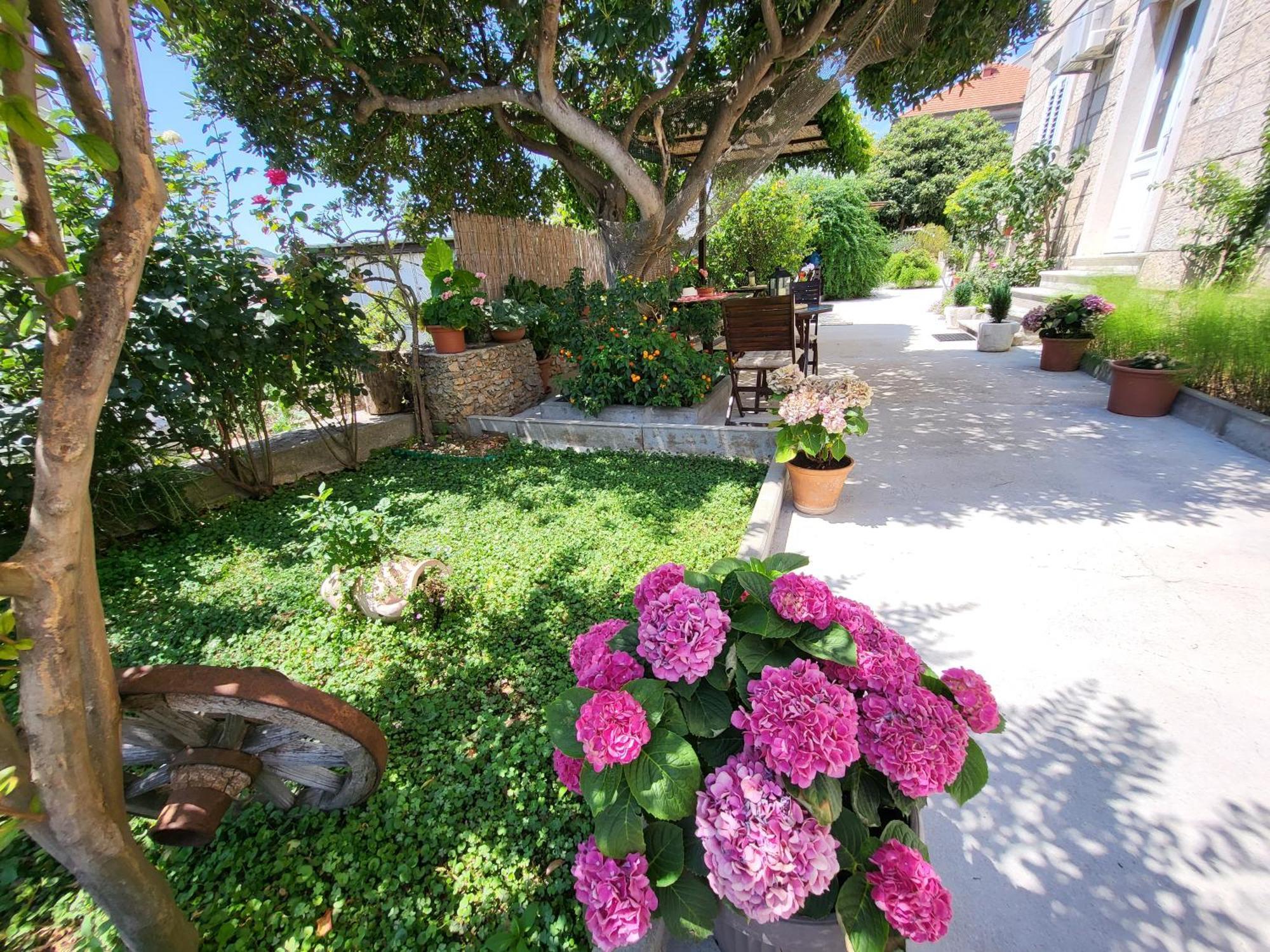 Apartments Miljas Dubrovník Exteriér fotografie